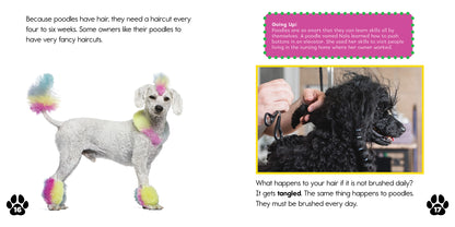 Poodles: Smart Sidekicks