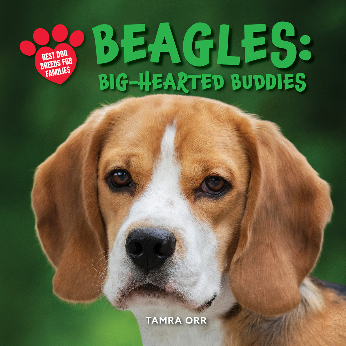 Beagles: Big-Hearted Buddies