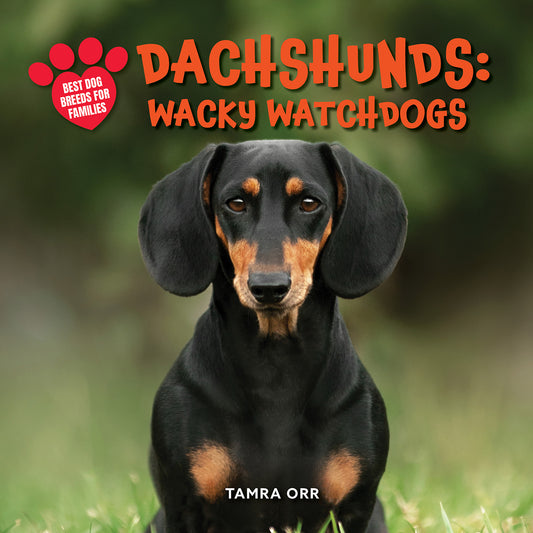 Dachshunds: Wacky Watchdogs