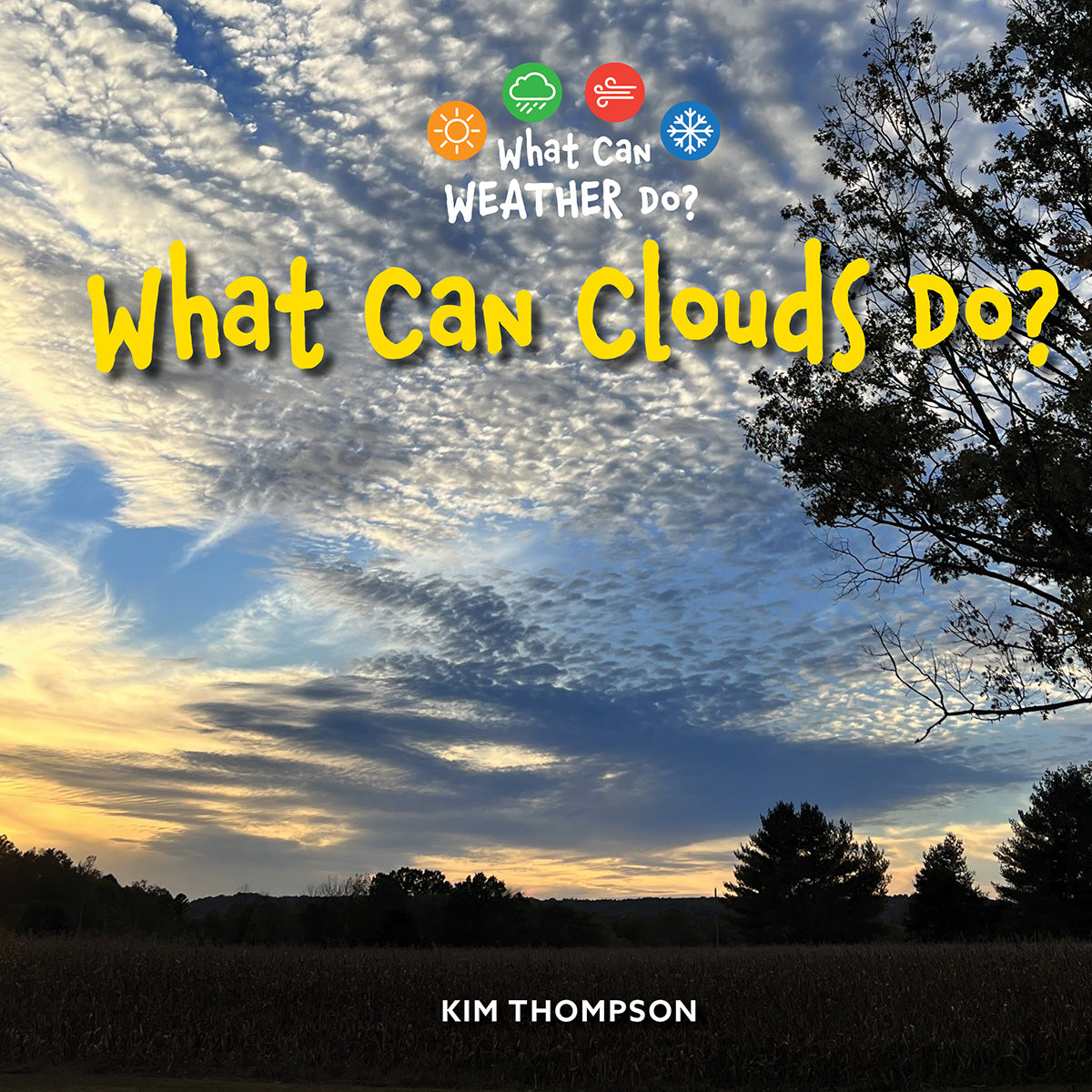 What Can Clouds Do?