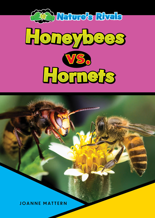 Honeybee vs. Hornet