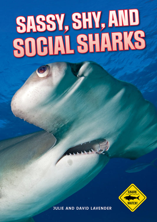 Sassy, Shy and Social Sharks