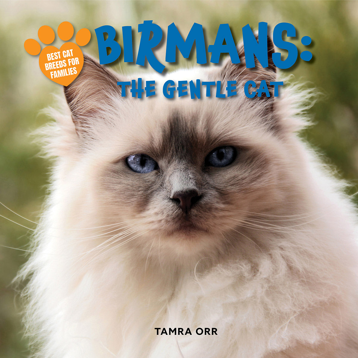 Birmans: The Gentle Cat