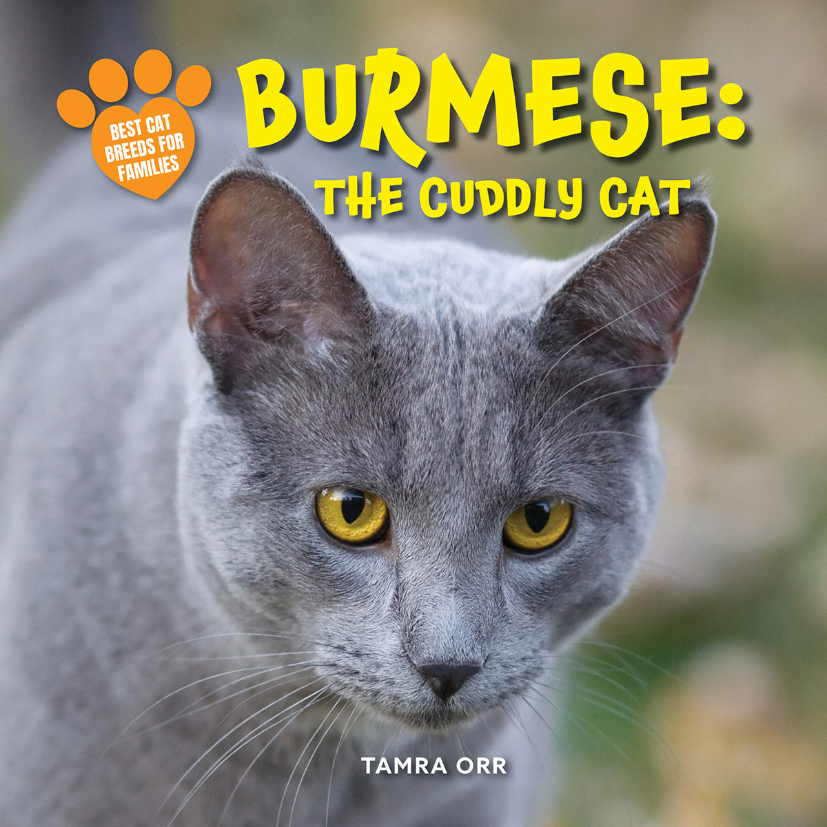 Burmese: The Cuddly Cat