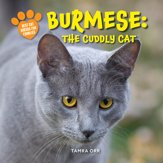 Burmese: The Cuddly Cat