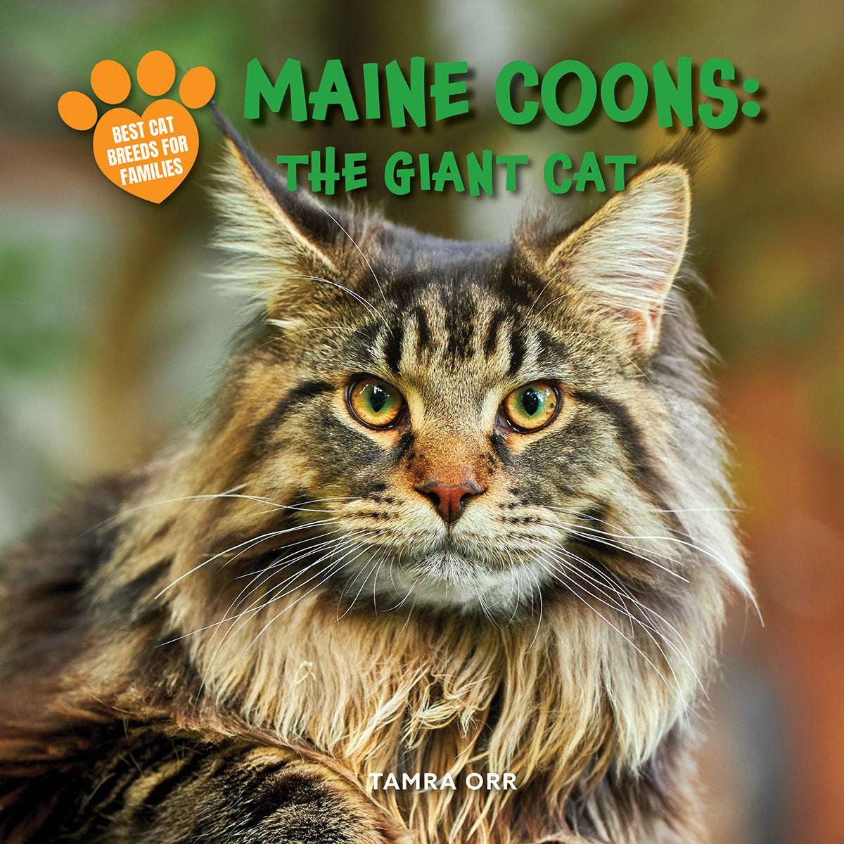 Maine Coons: The Giant Cat