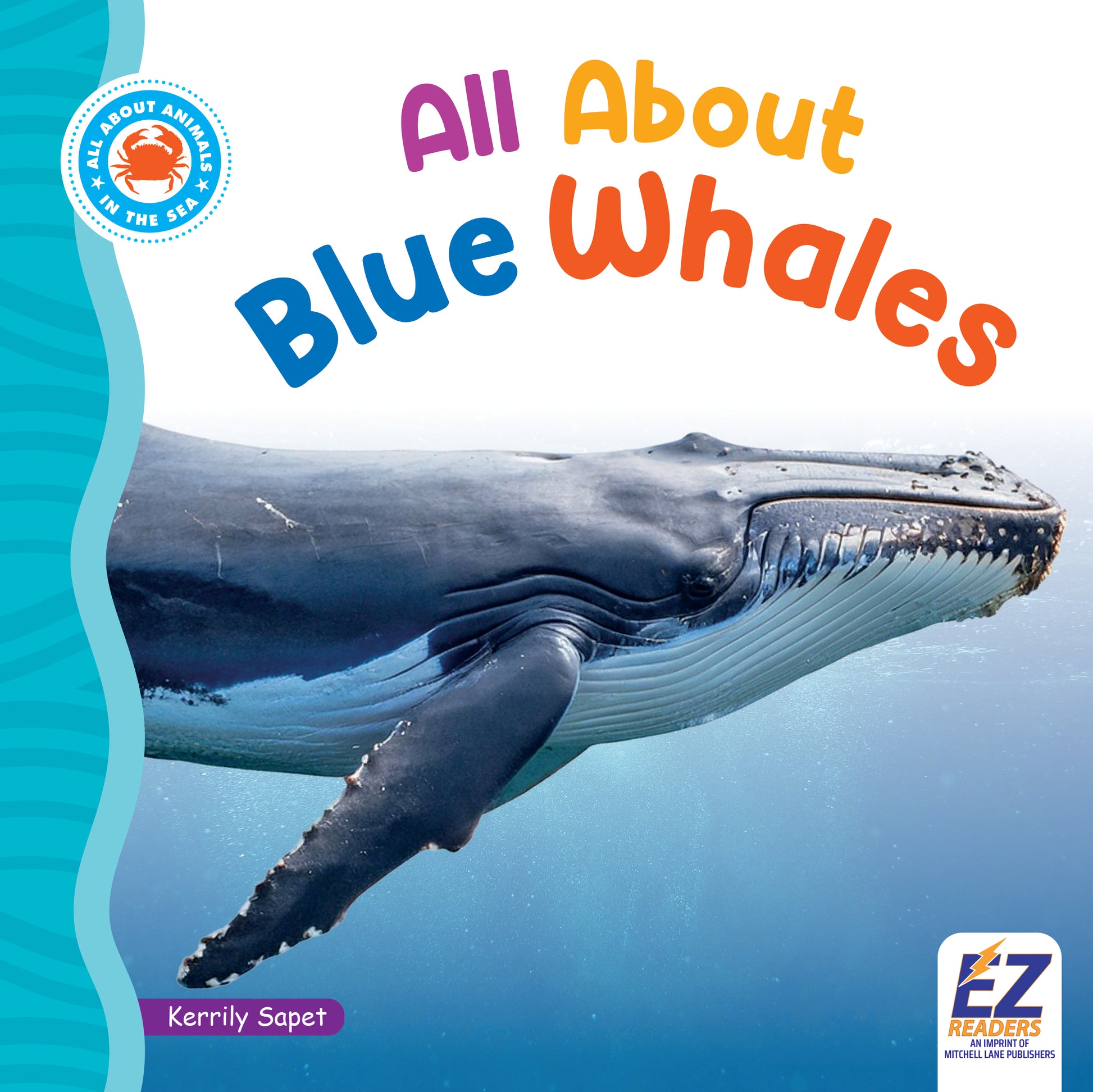 All About Blue Whales