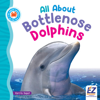 All About Bottlenose Dolphins
