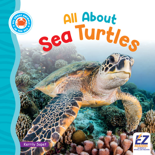 All About Sea Turtles