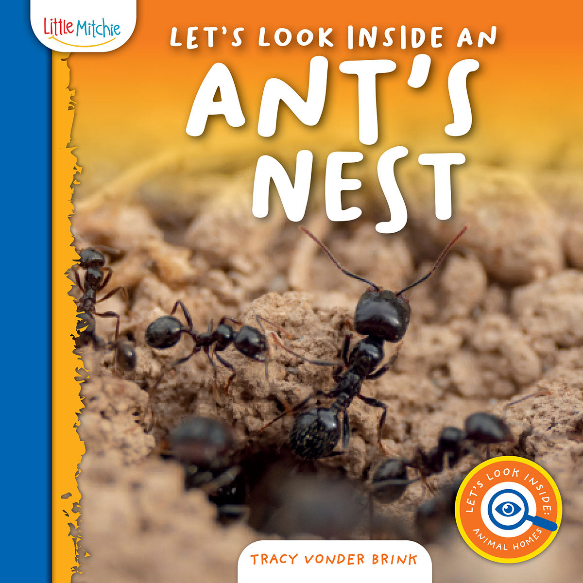 Let's Look Inside an Ant's Nest