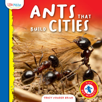 Ants That Build Cities