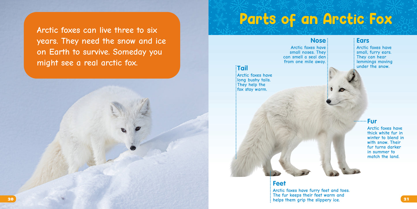 All About Arctic Foxes