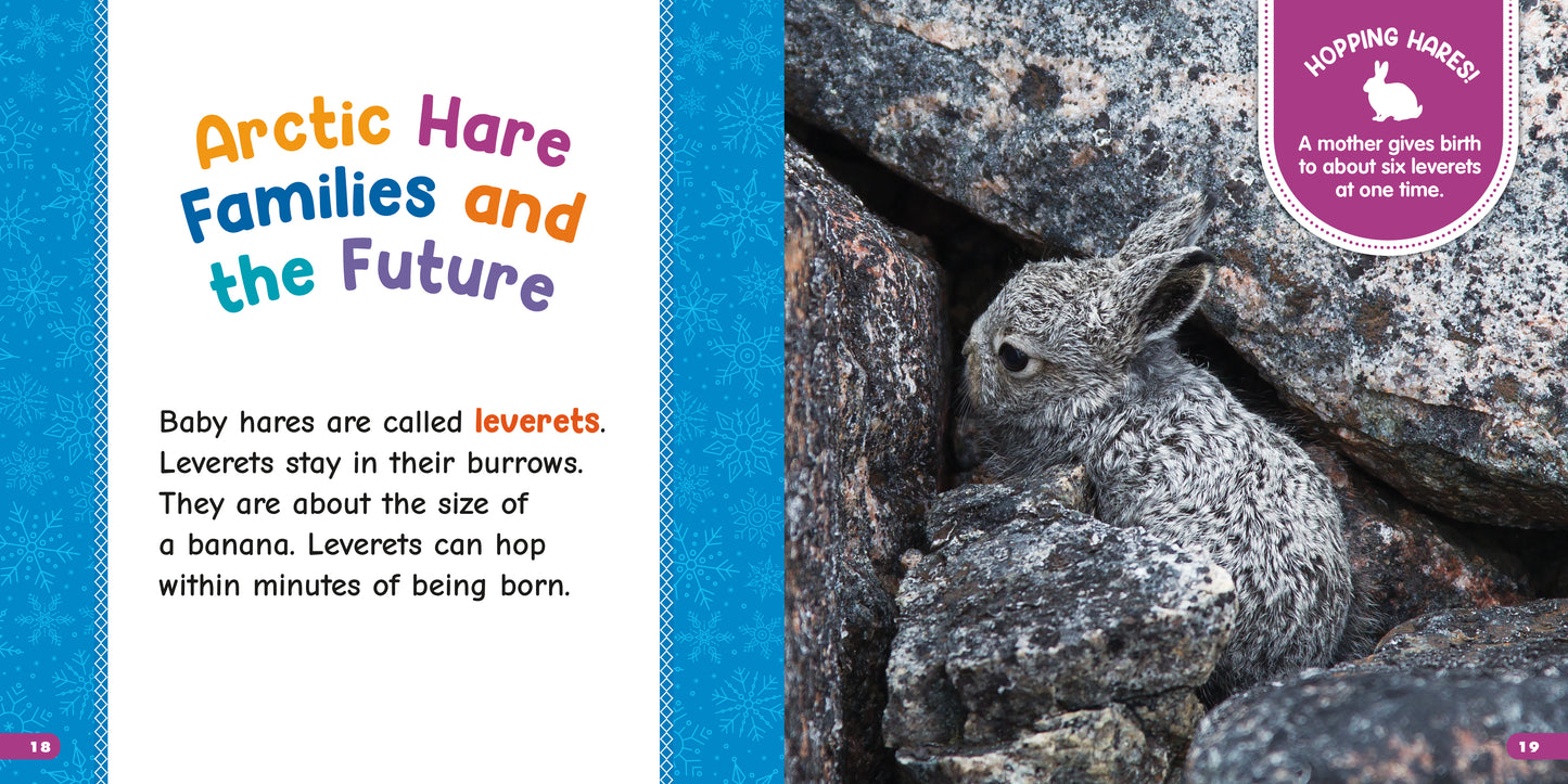 All About Arctic Hares
