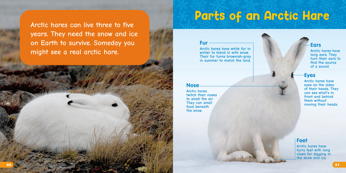 All About Arctic Hares