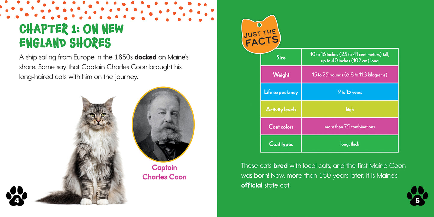 Maine Coons: The Giant Cat