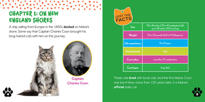 Maine Coons: The Giant Cat