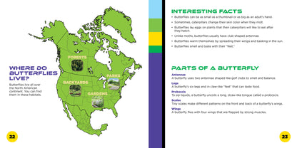 All About North American Butterflies