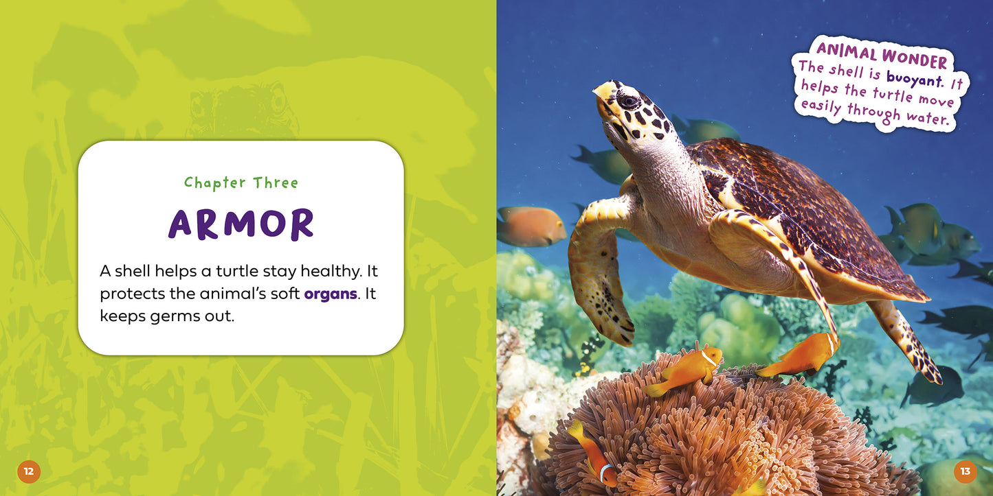 Can a Turtle Come Out of Its Shell?