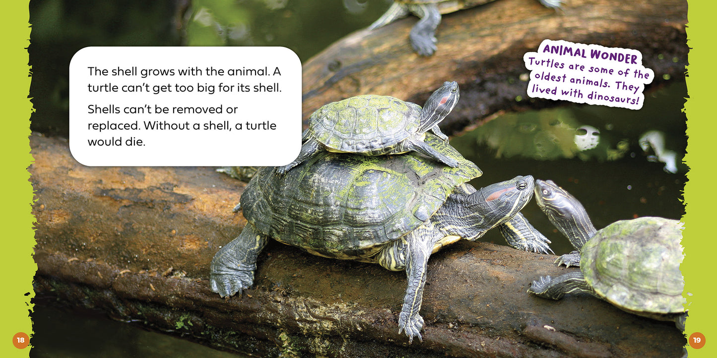 Can a Turtle Come Out of Its Shell?