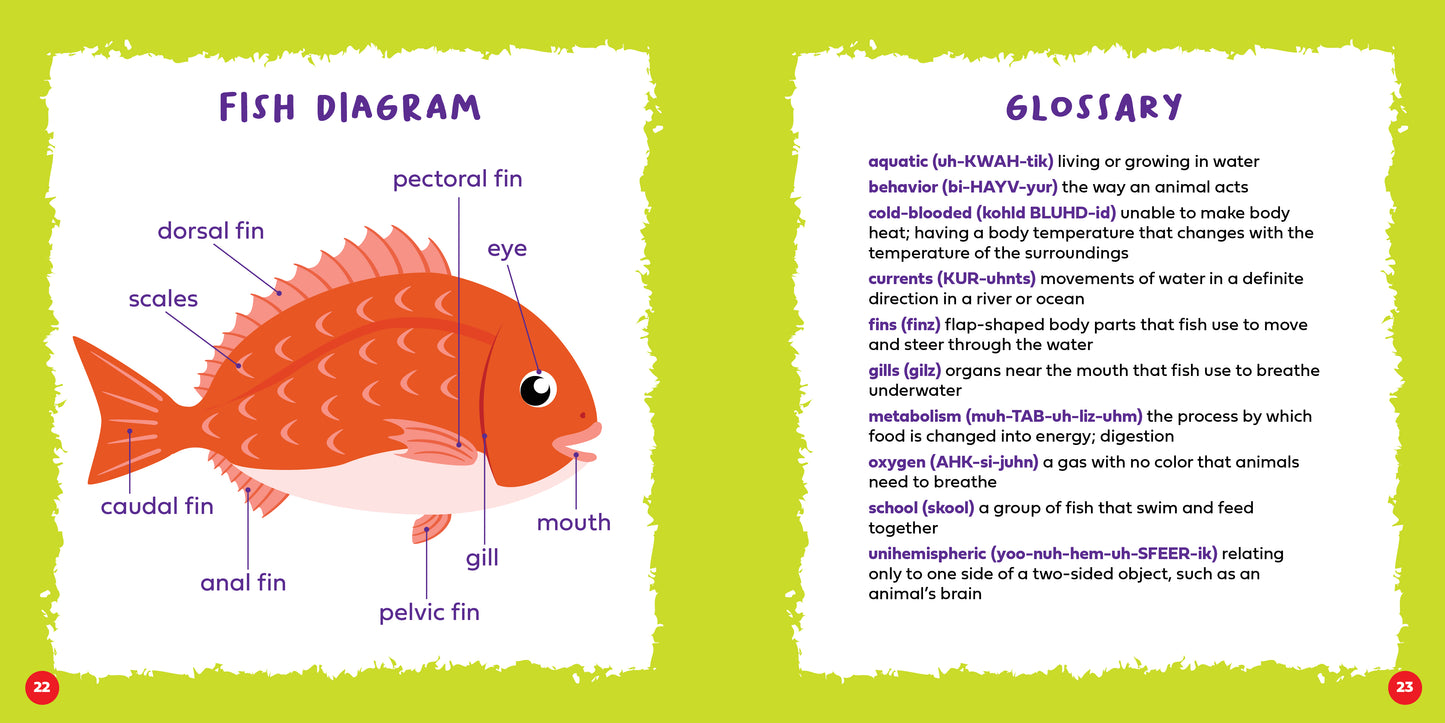 Do Fish Sleep?