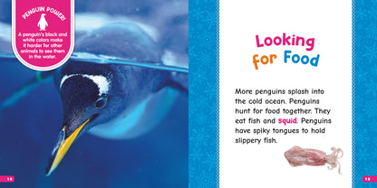 All About Emperor Penguins