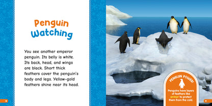 All About Emperor Penguins