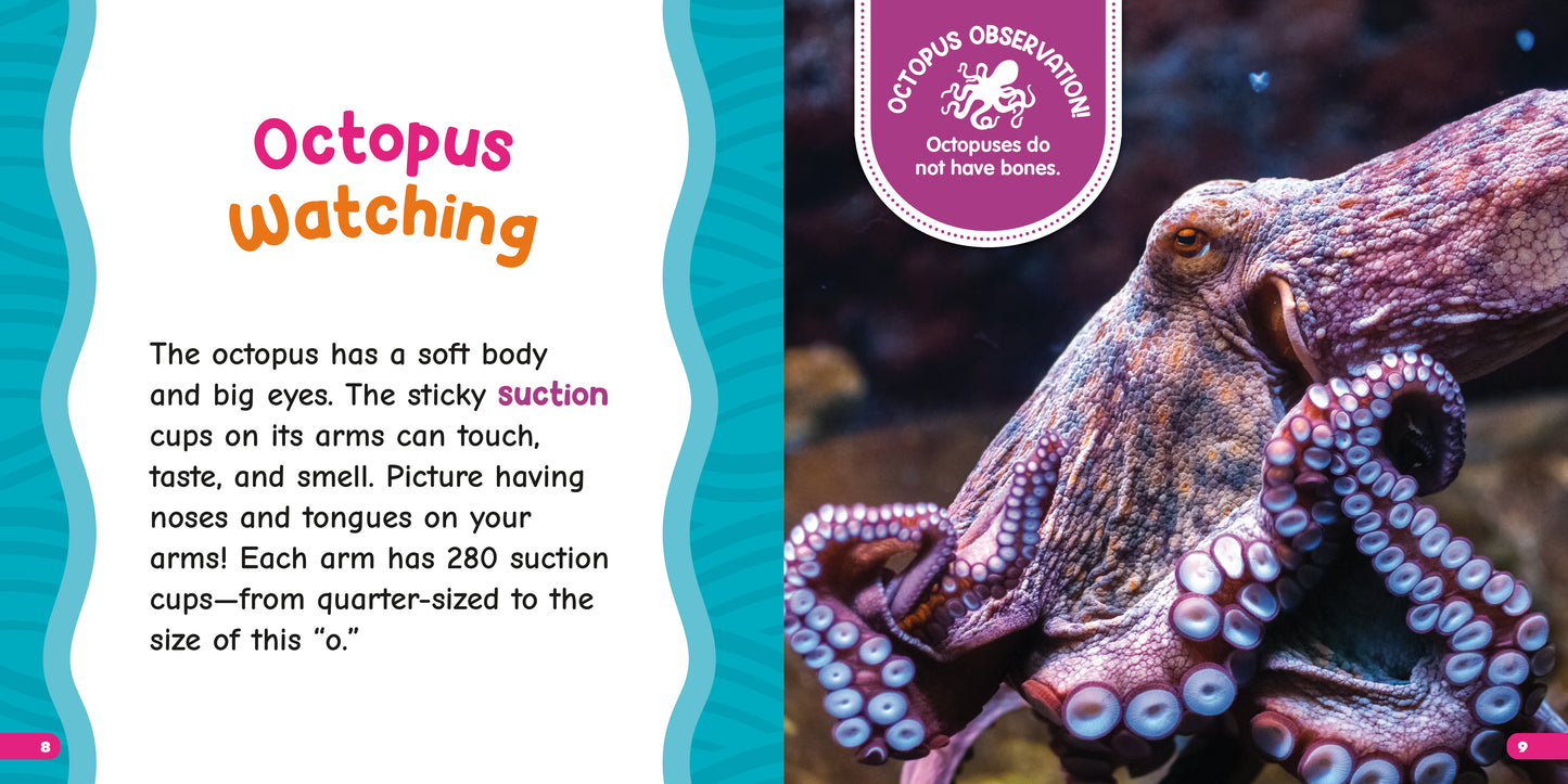 All About Giant Octopuses