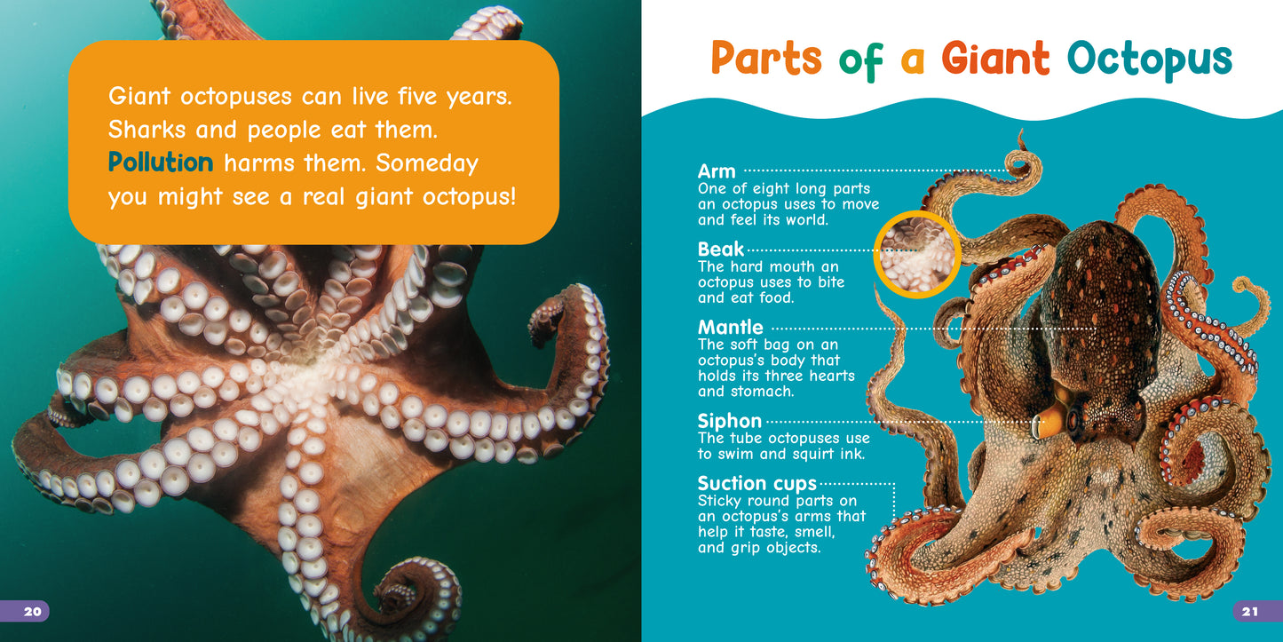 All About Giant Octopuses