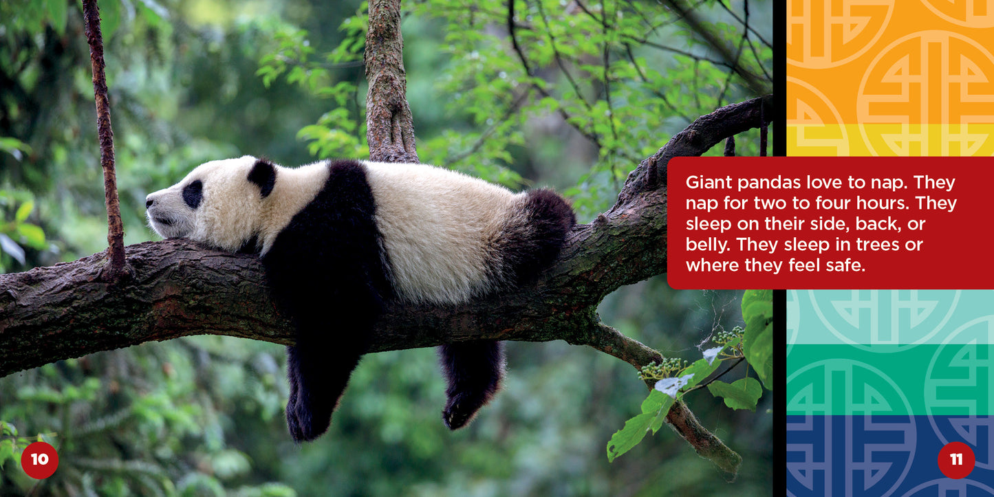 All About Asian Giant Pandas