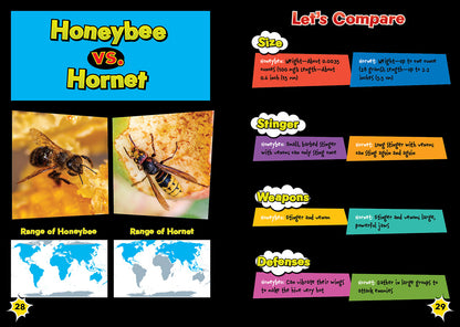 Honeybee vs. Hornet