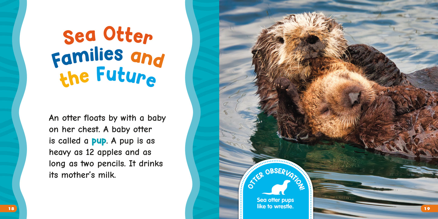 All About Sea Otters