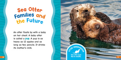 All About Sea Otters