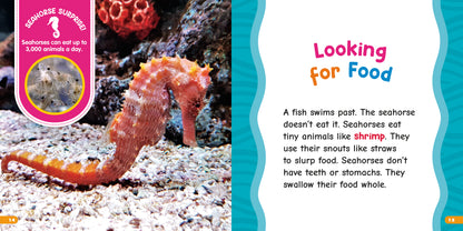 All About Seahorses