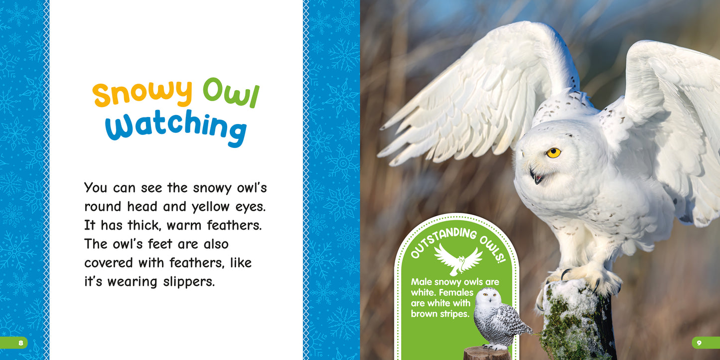 All About Snowy Owls