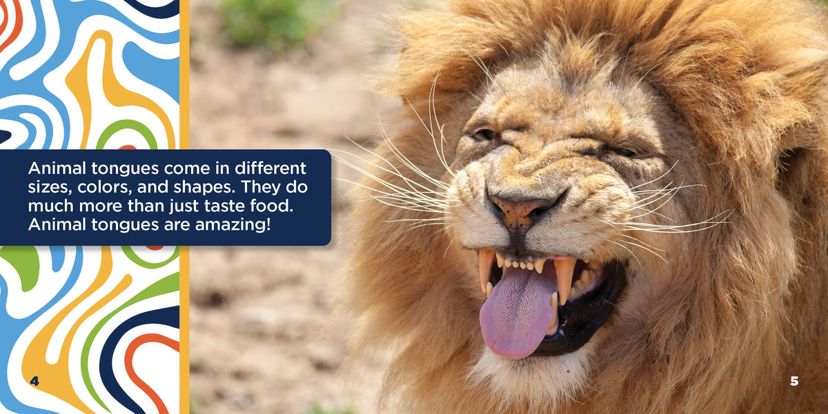 Animal Touges Twirl Tongue The Tongue Is The Strongest Muscle In The Body | Humans