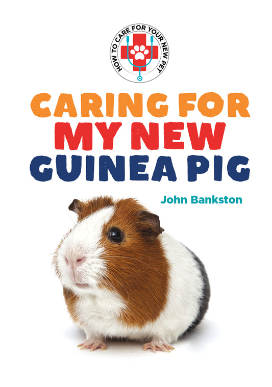 Caring for My New Guinea Pig