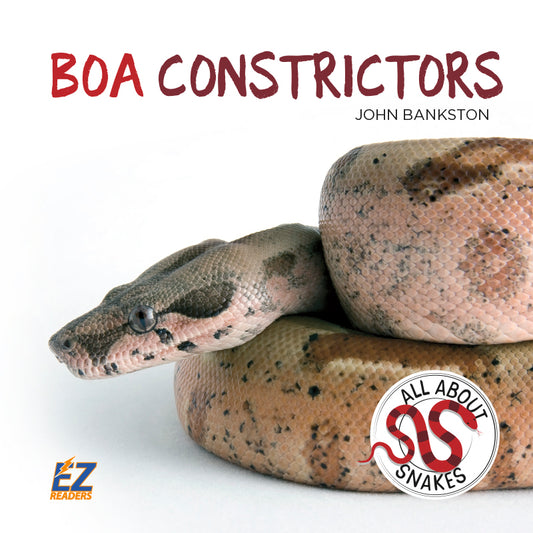 Boa Constrictors