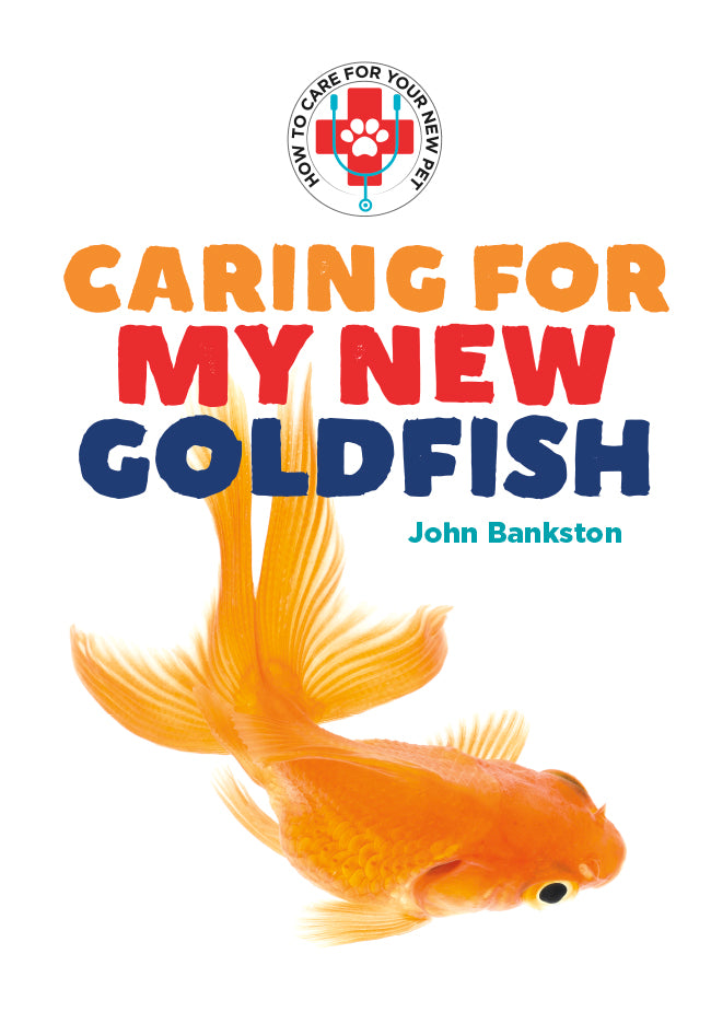 Caring for My New Goldfish