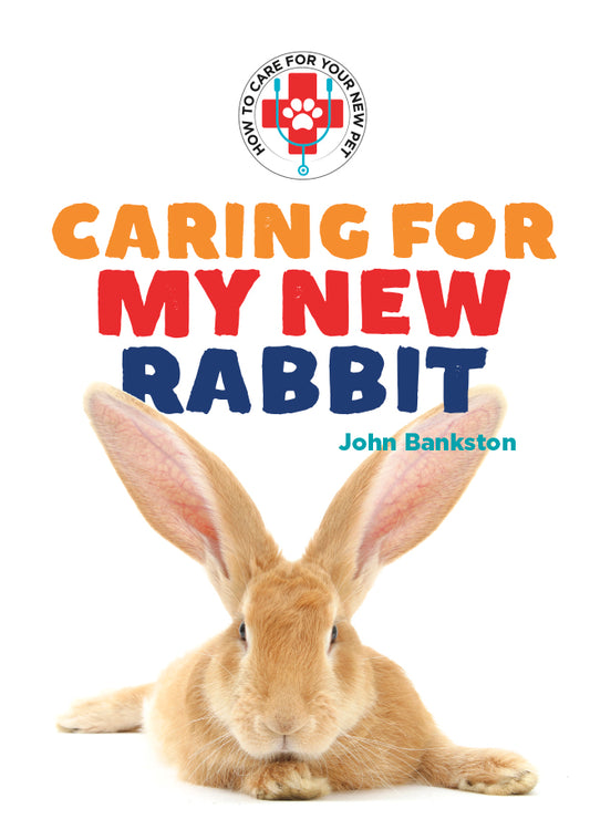 Caring for My New Rabbit