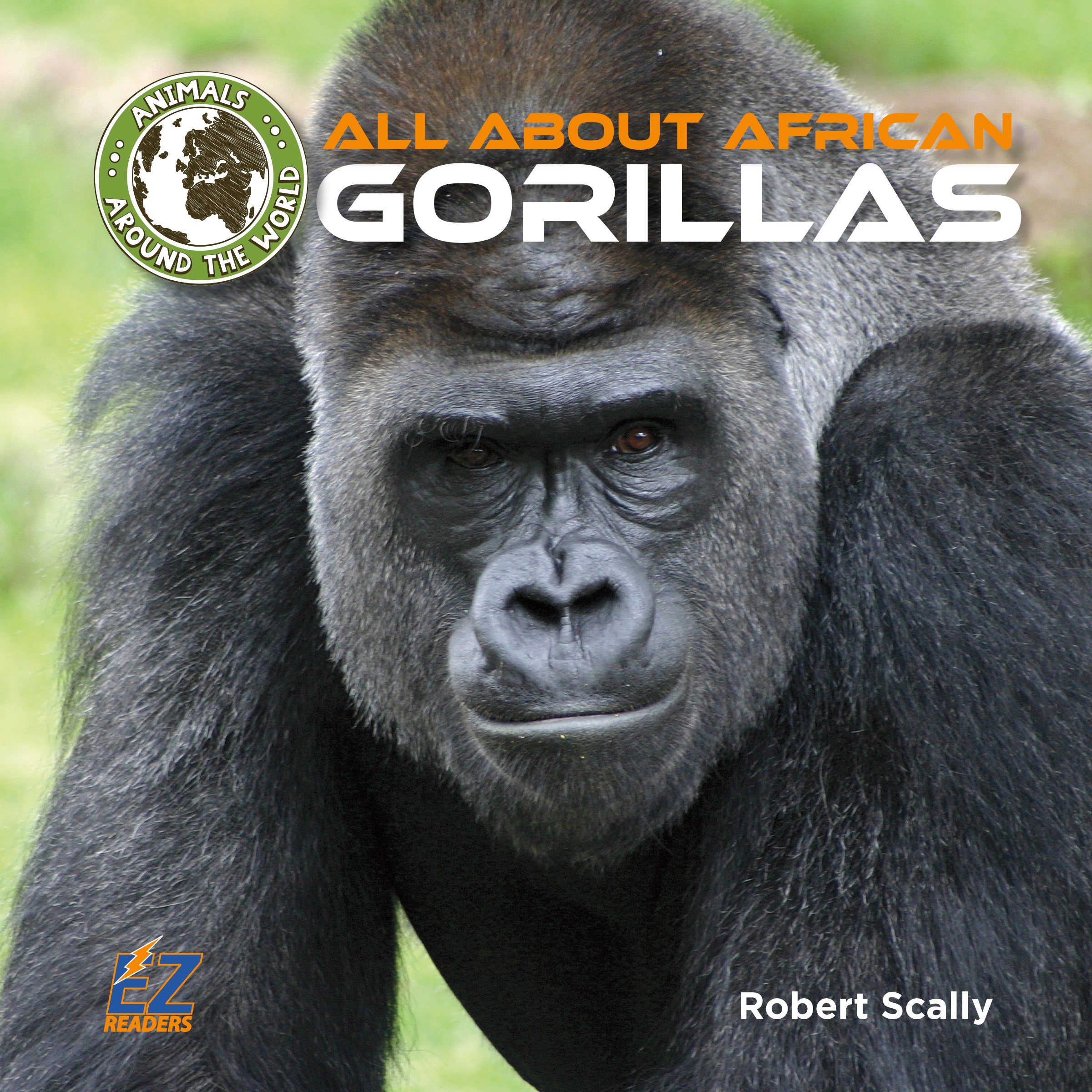 Gorillas are not fierce unless threatened. Gorillas are the shy, gentle ...