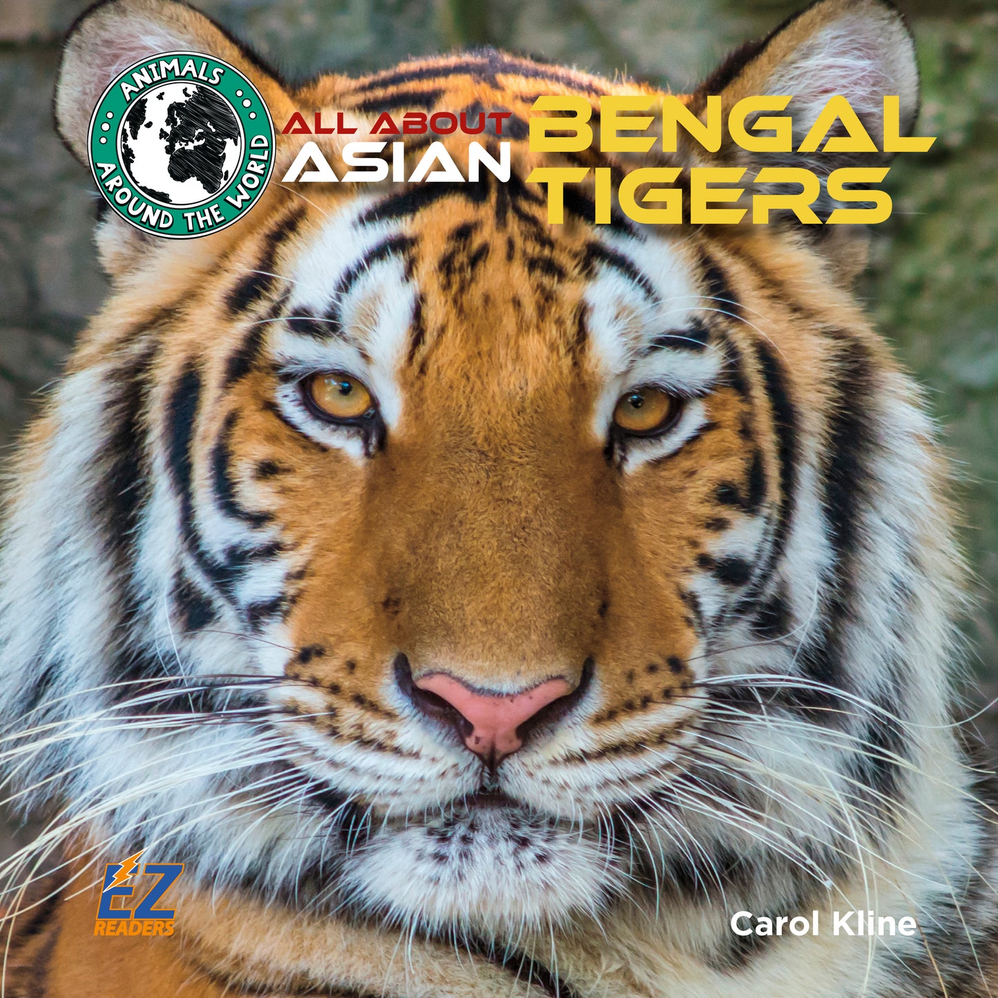 All About Asian Bengal Tigers