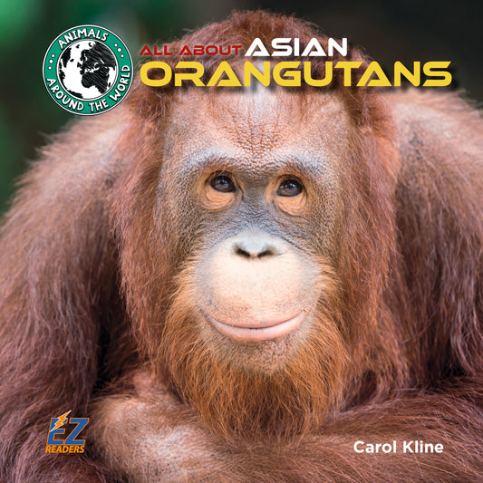 All About Asian Orangutans