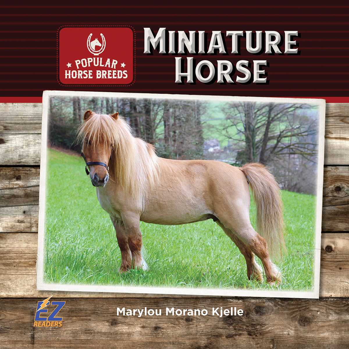 Miniature Horses are often mistaken for ponies, but they are full grown ...