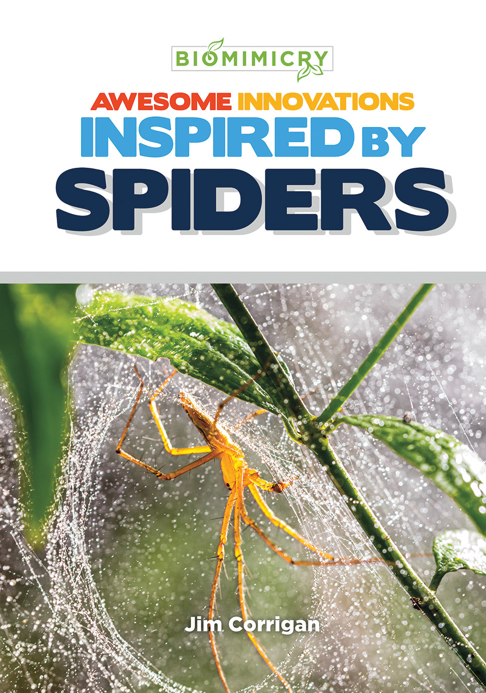 Awesome Innovations Inspired by Spiders