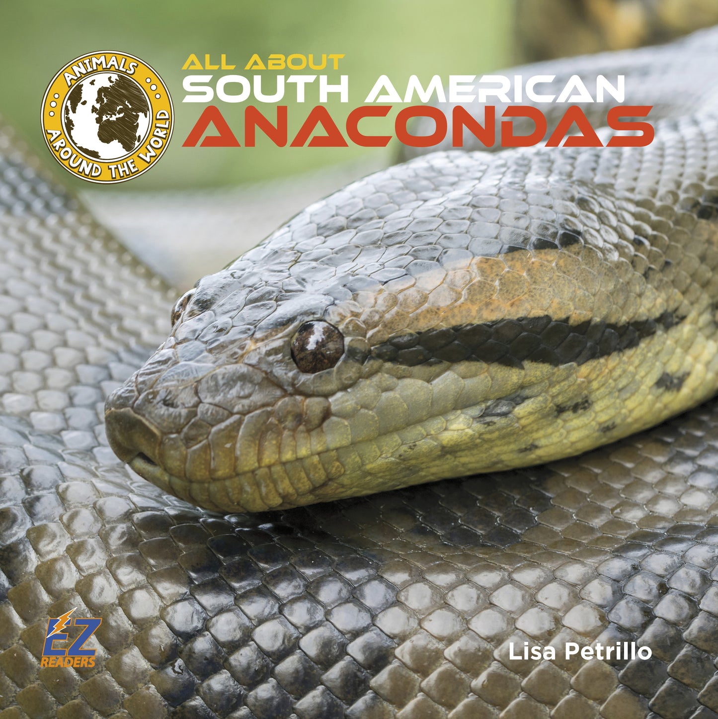 All About South American Anacondas