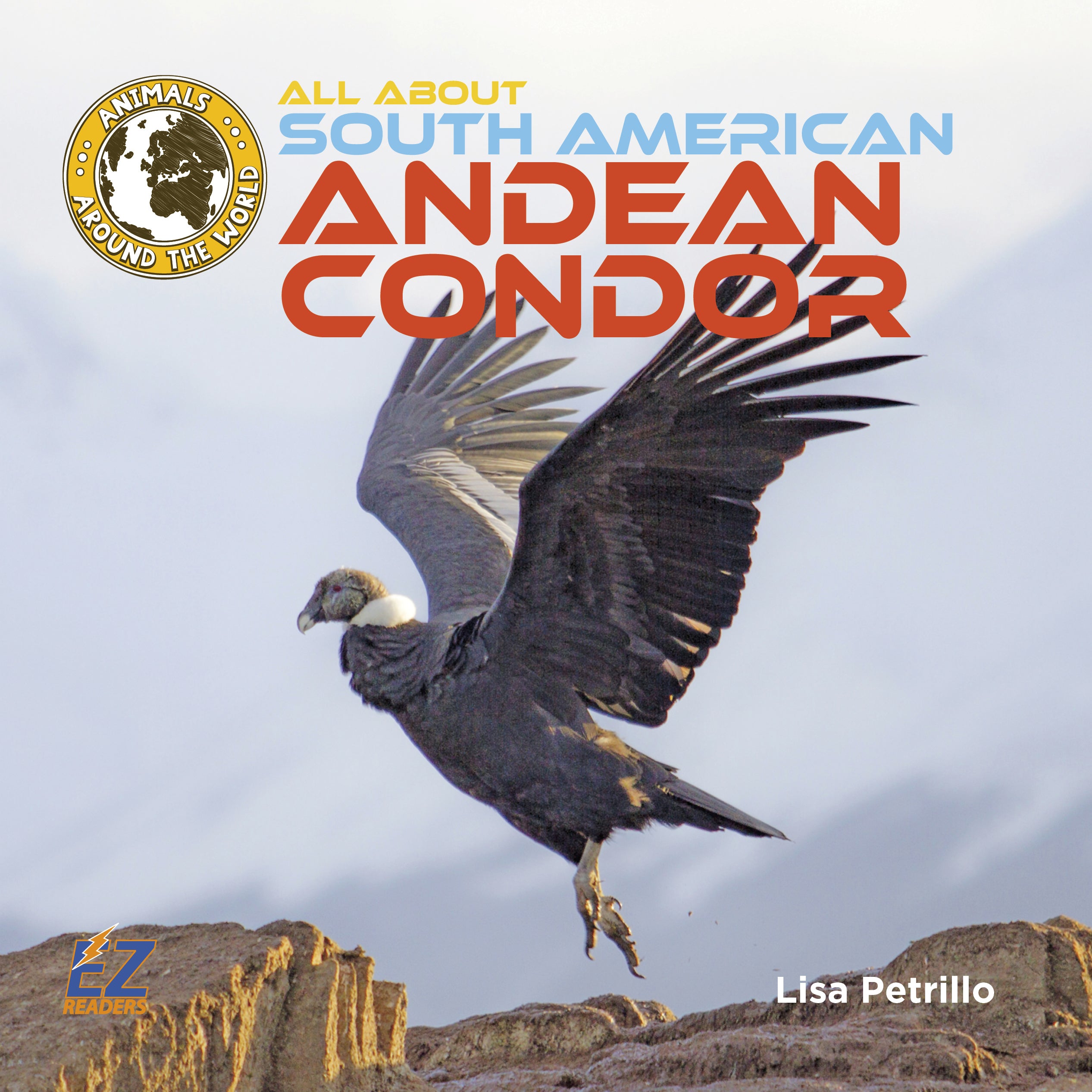 The Andean condor is a huge flying bird that soars over the Andes ...