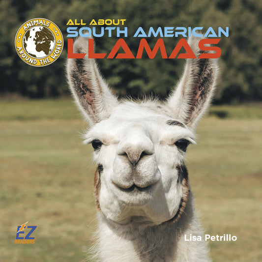 All About South American Llamas