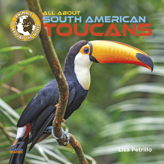 All About South American Toucans