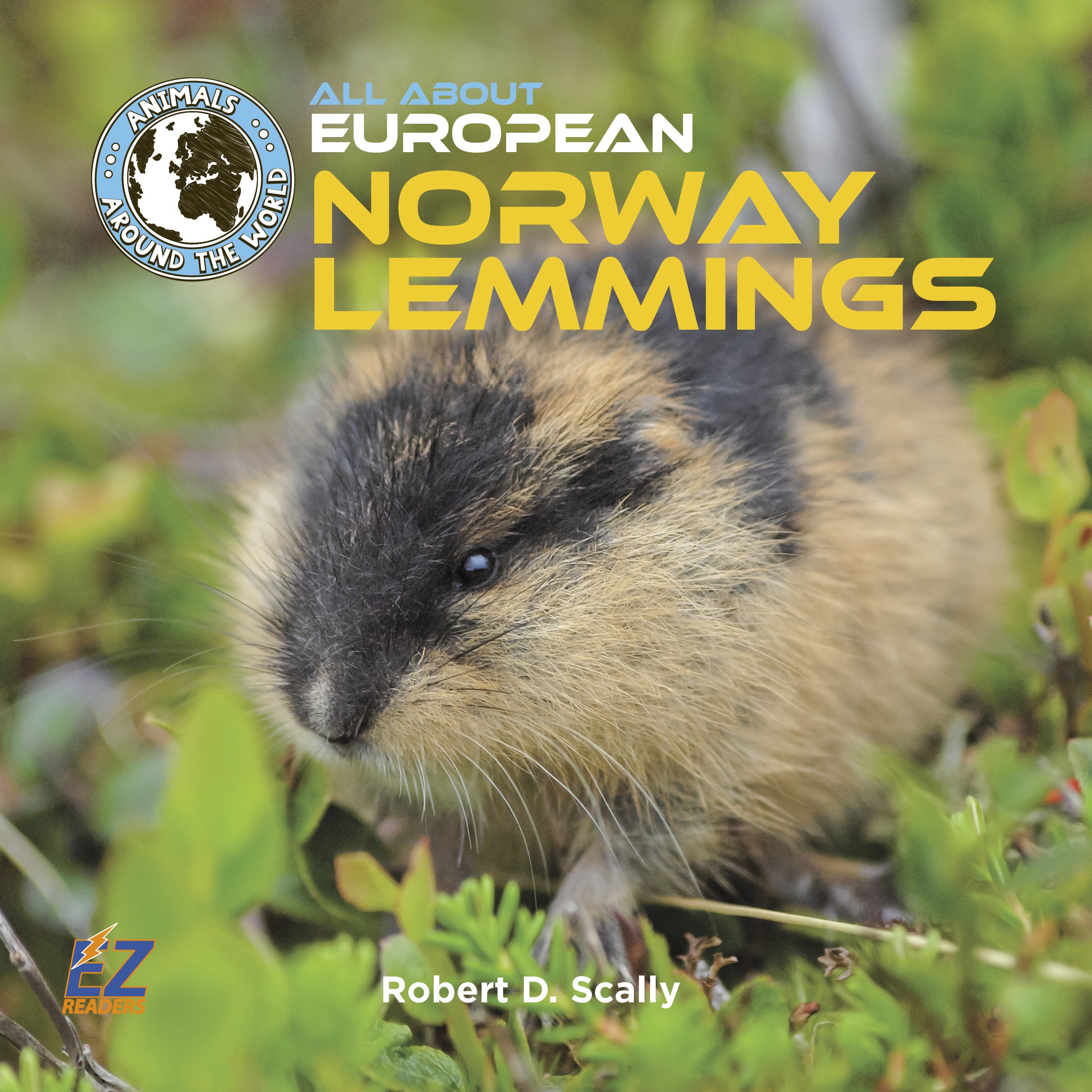 The Norway lemming is a small rodent that looks like a hamster ...