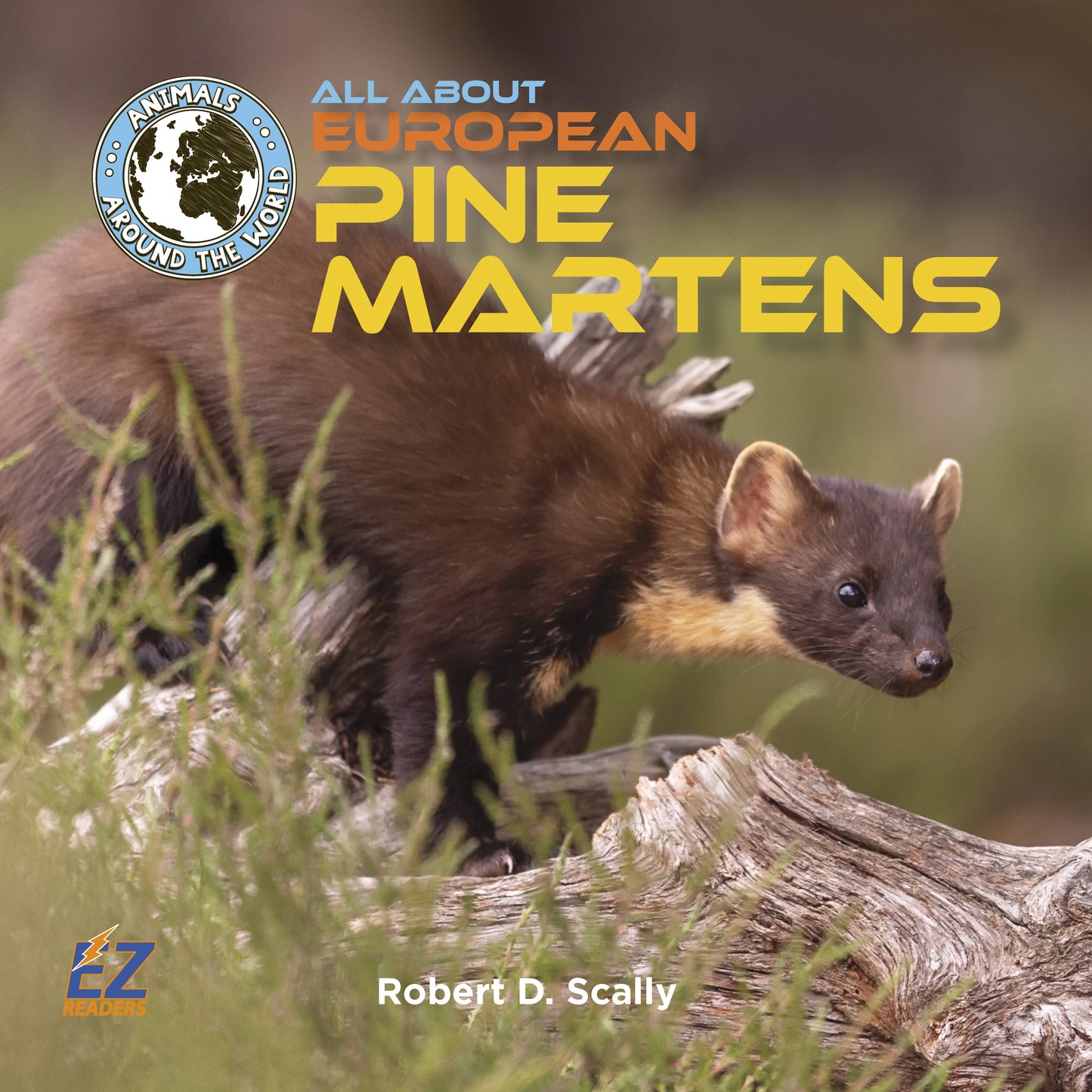 All About European Pine Martens